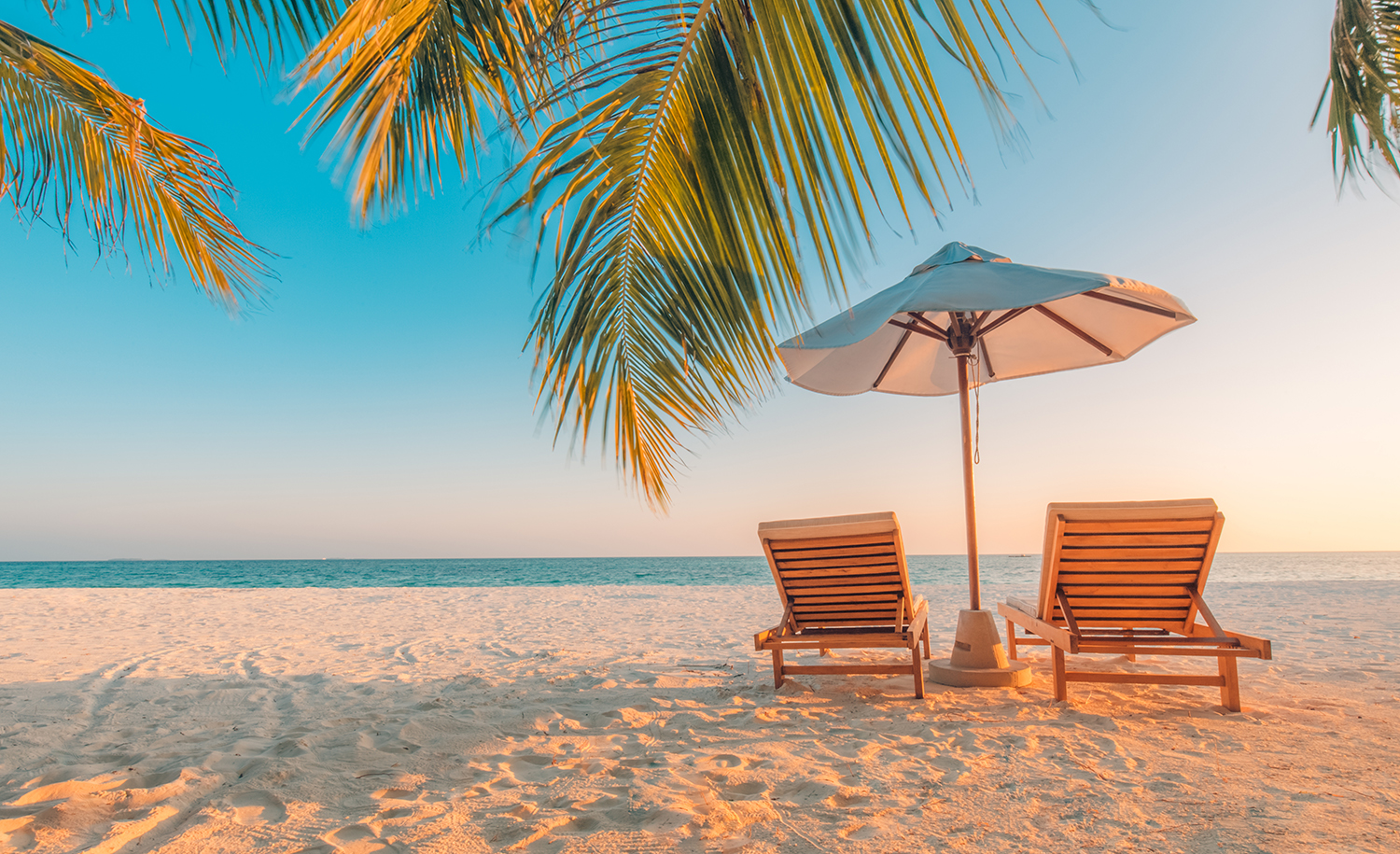 Have a Great Summer!