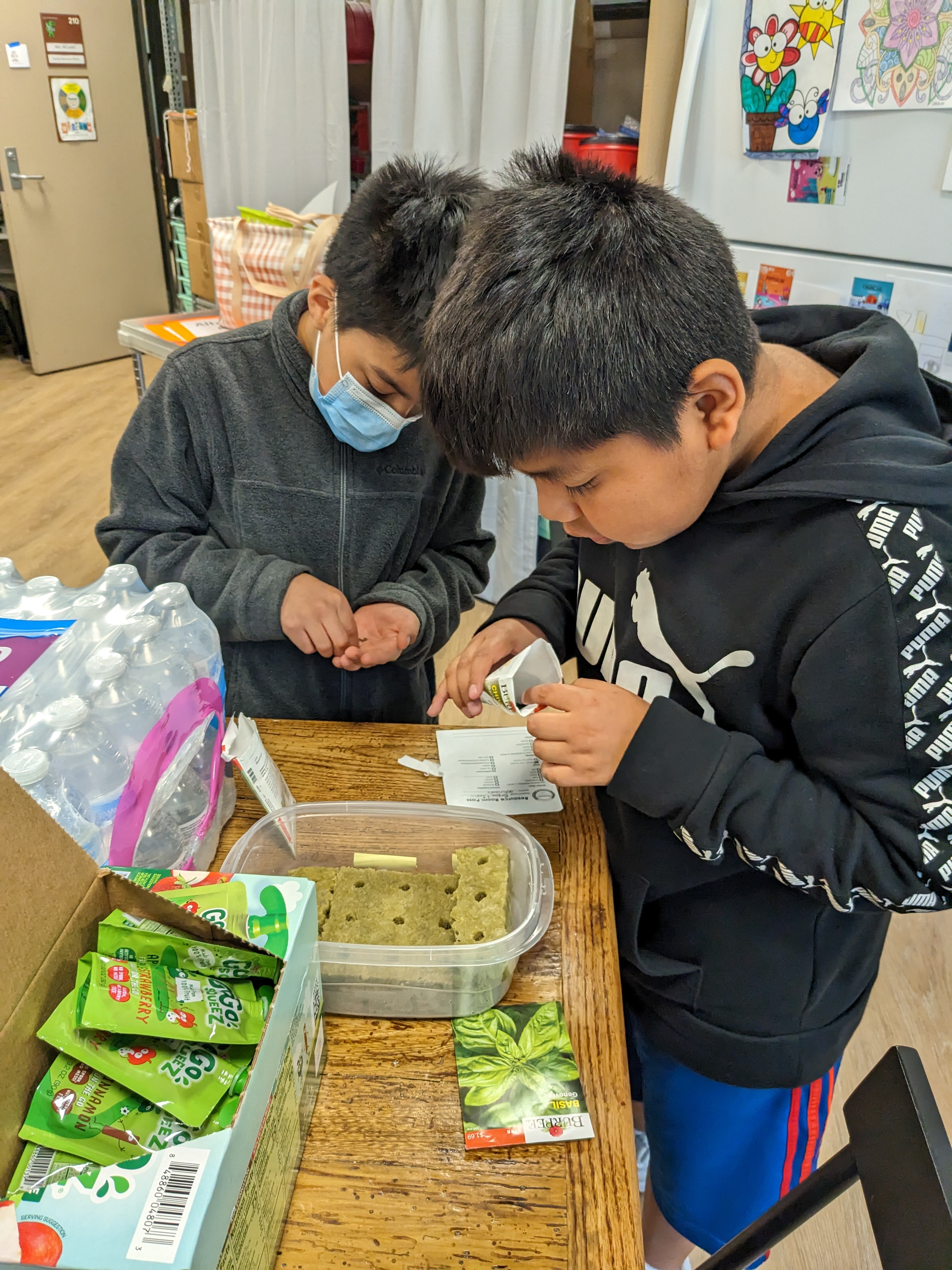 Two boys plant herb seeds for our hydroponics garden.
