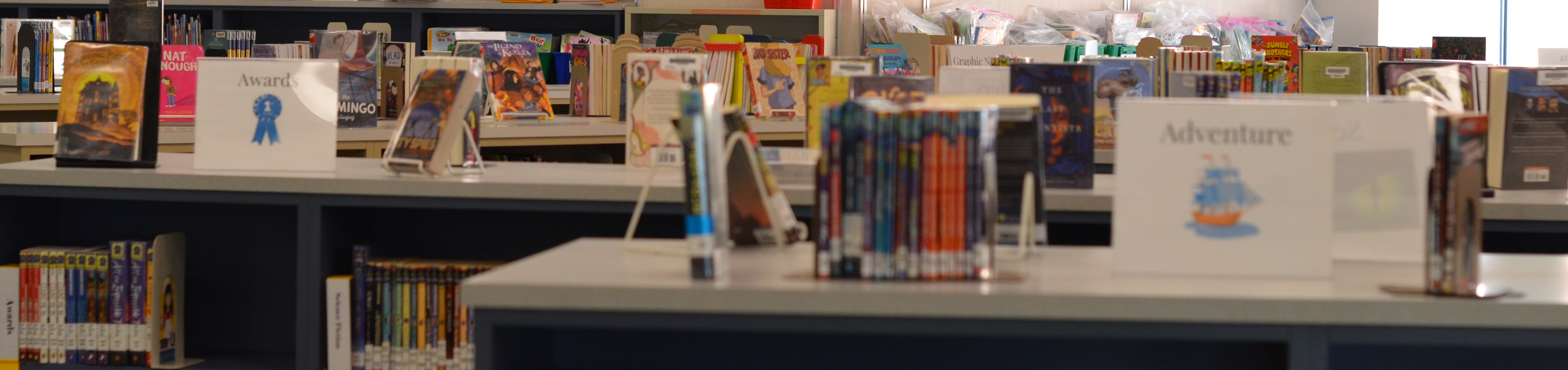 Looking over the bookcases at display books in the Gage Library