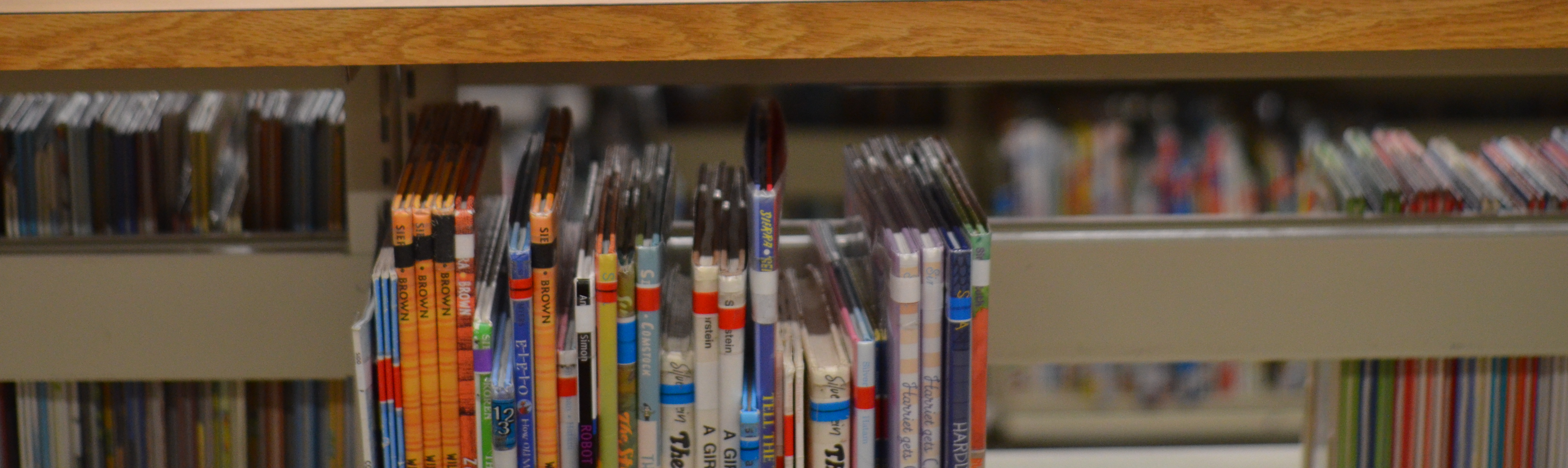 perspective of at a bookcase in the Gibbs Elementary School Library