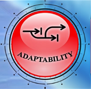 adaptability