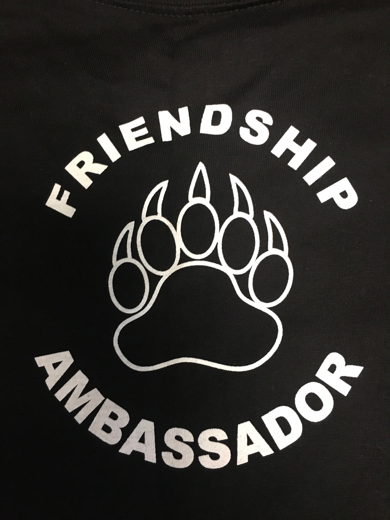Friendship Ambassador