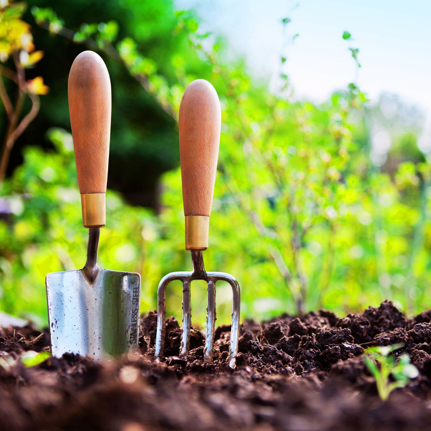 Garden tools in the soil