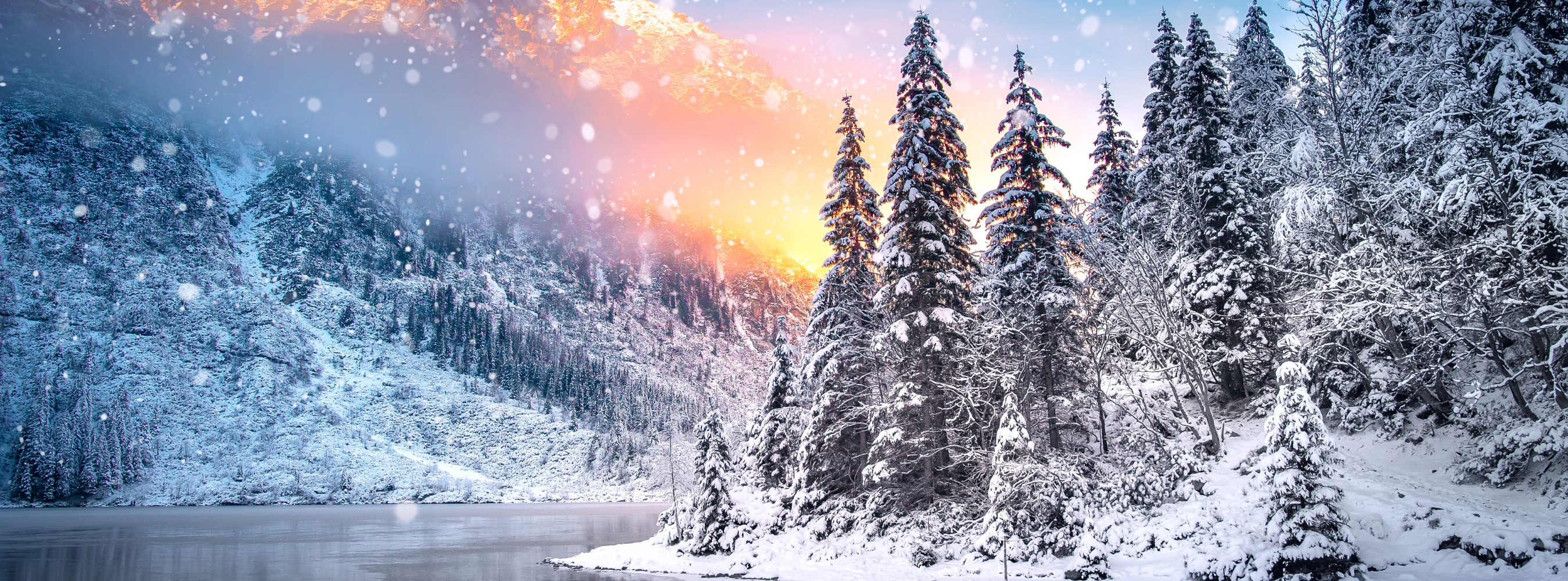 Trees and frozen mountains