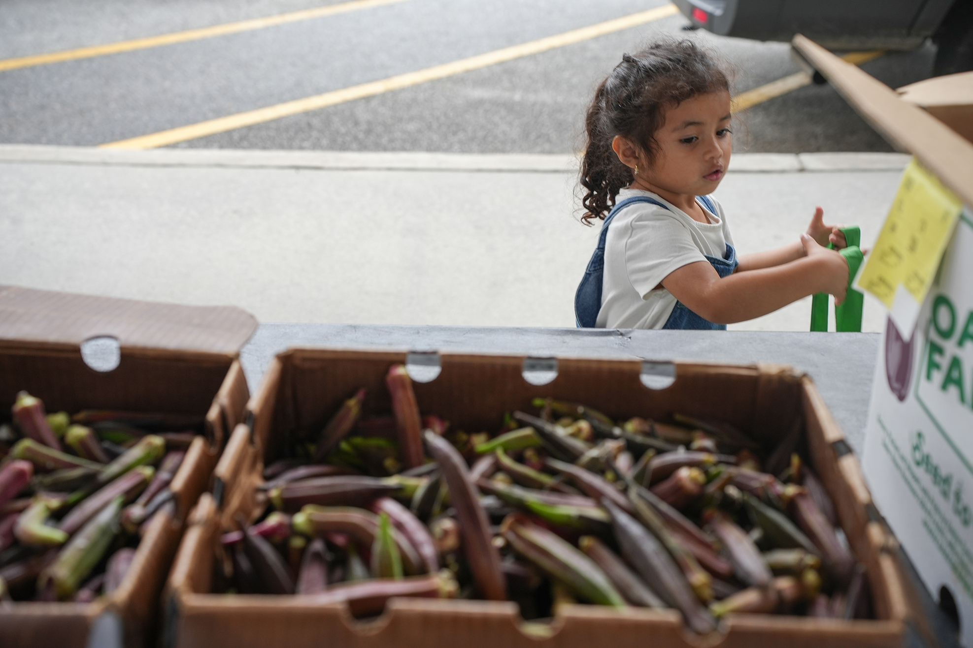 A young child stands at a table holding a yellow card, with boxes of green beans in front.
