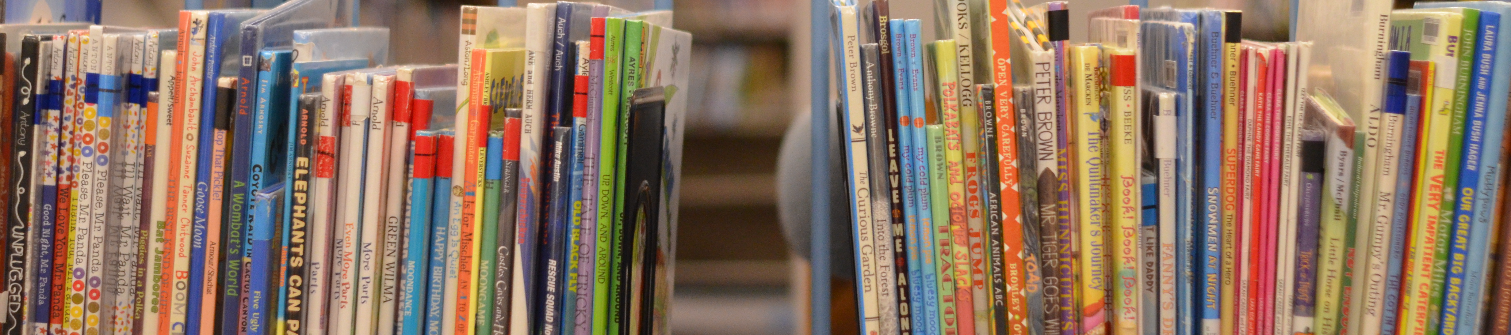 Perspective of looking at books on a book shelf in the media center