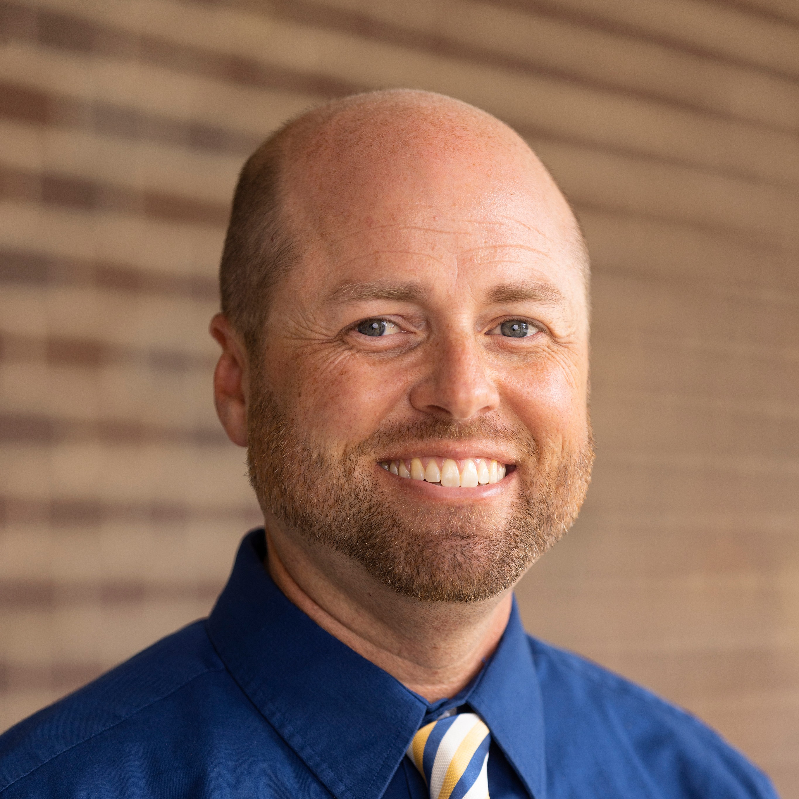 A man with a bald head, a beard, and a blue shirt with a striped tie.