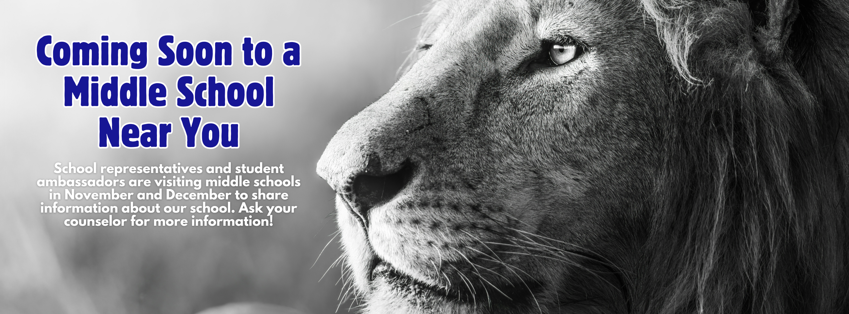 Middle School Visits