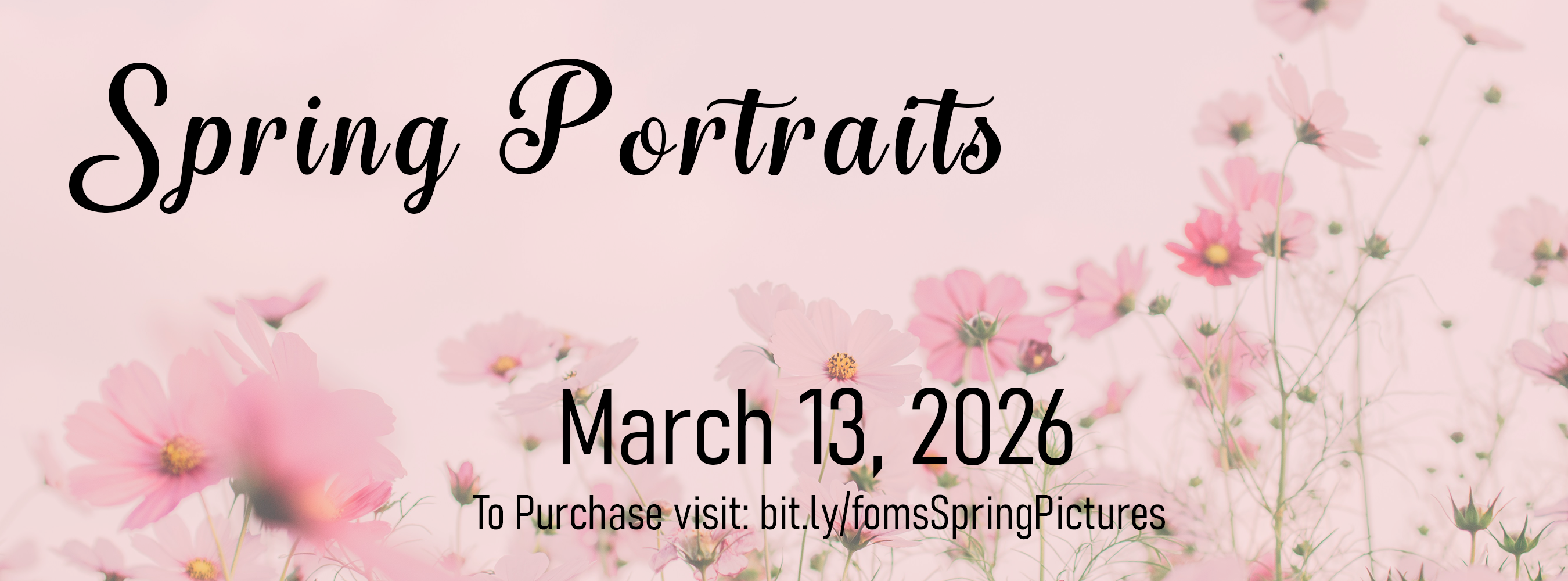 Spring Portraits - March 13, 2026