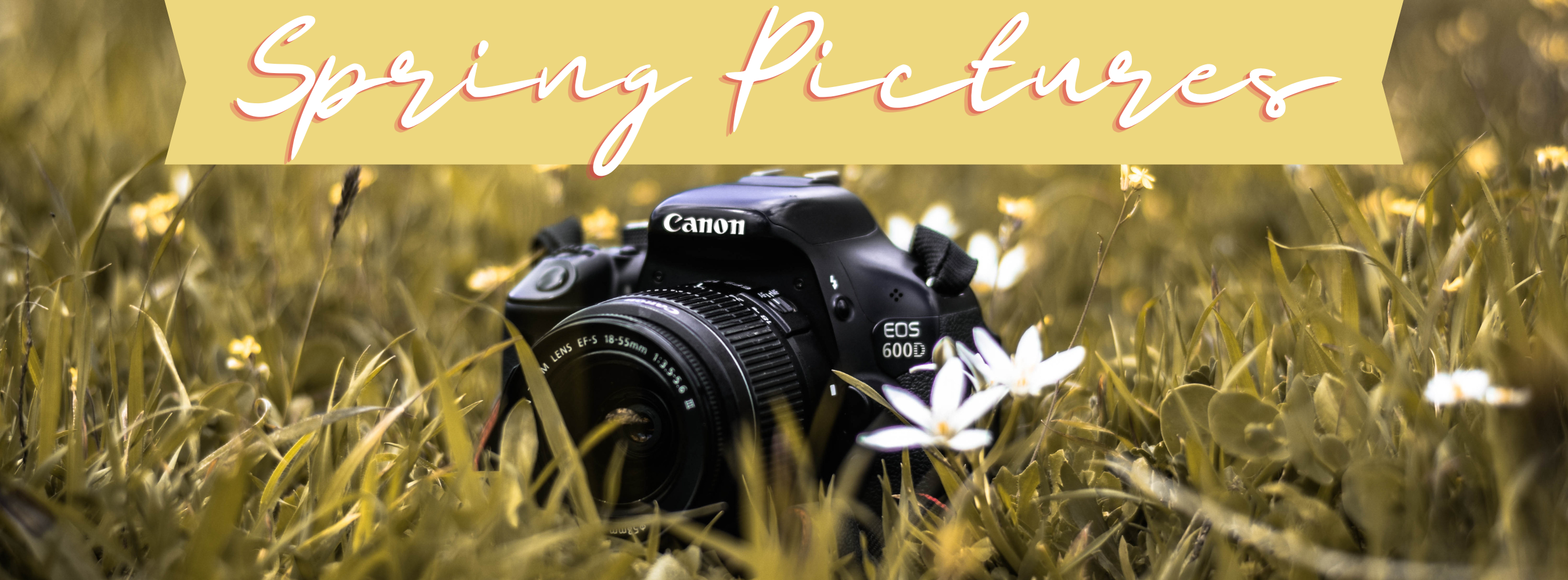 a camera sitting in grass and white flowers with title spring pictures 