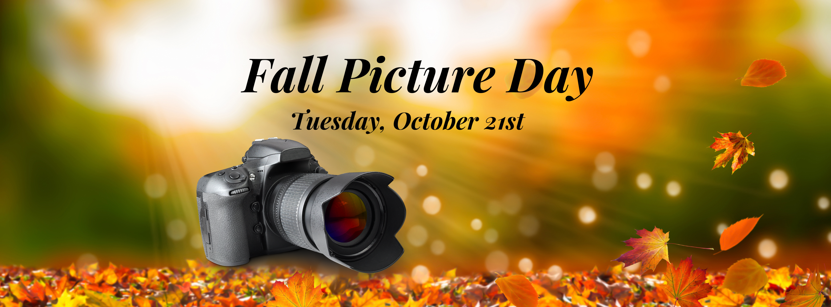 Fall Picture