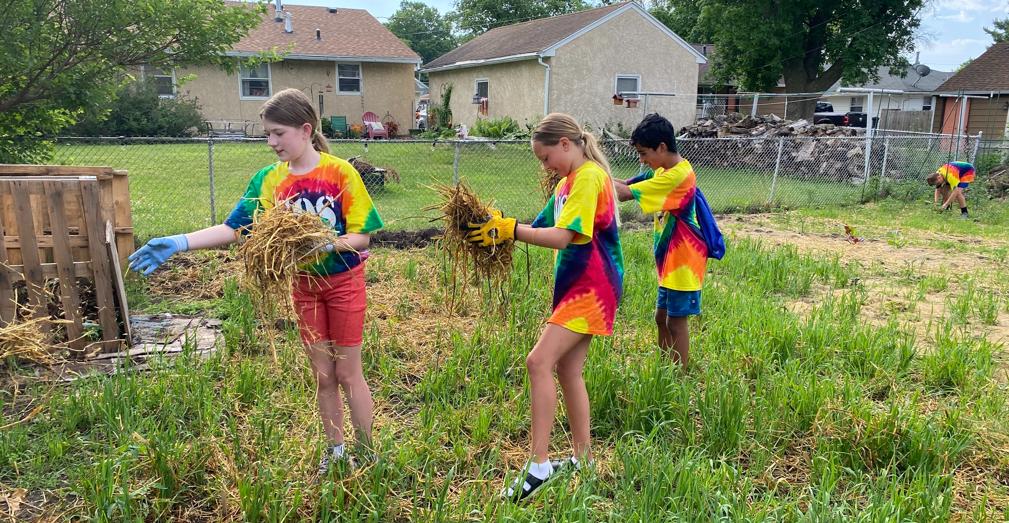 Students pulling weed for Summer of Service