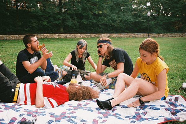 5 young adults at a picnic