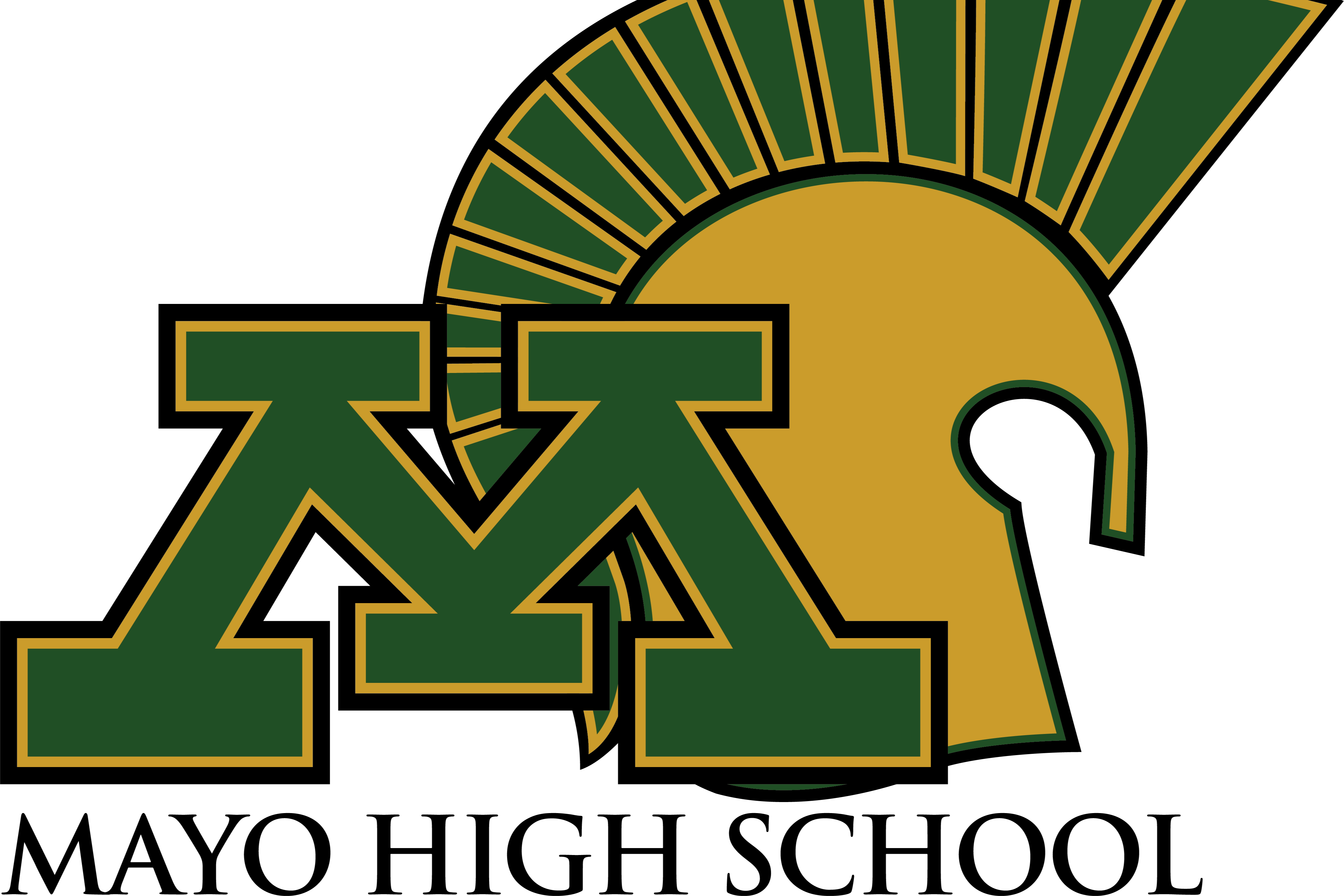 Mayo High School logo