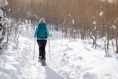 Snowshoeing