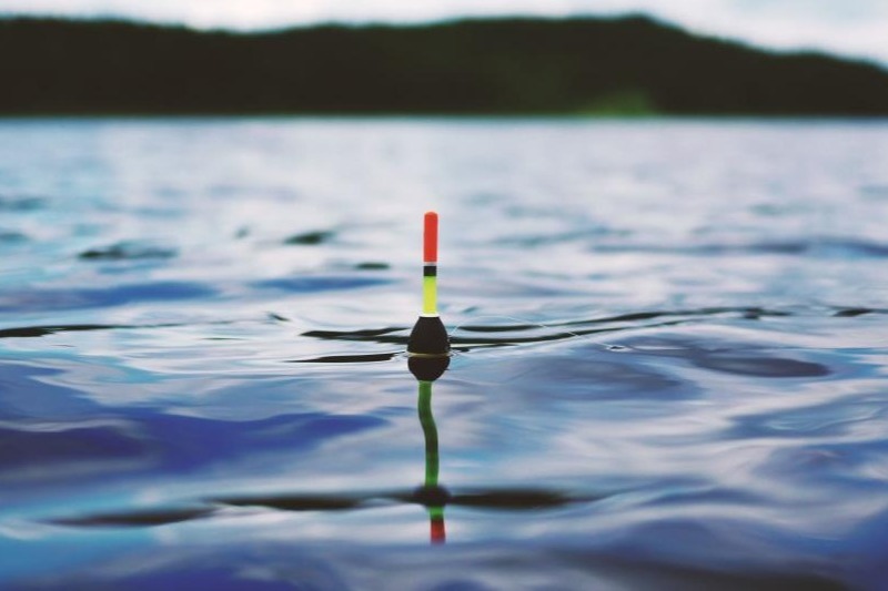bobber floating on the water