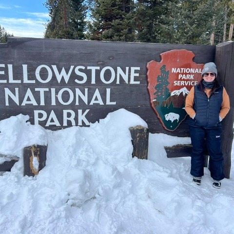 Yellowstone national park