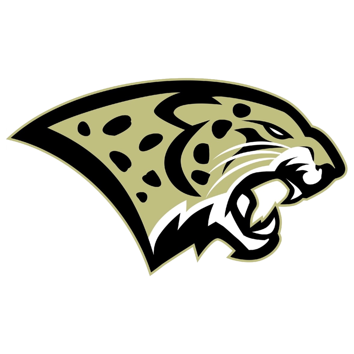 Statewide Tornado Drill Lakewood High School