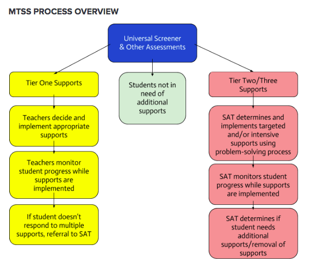 MTSS process