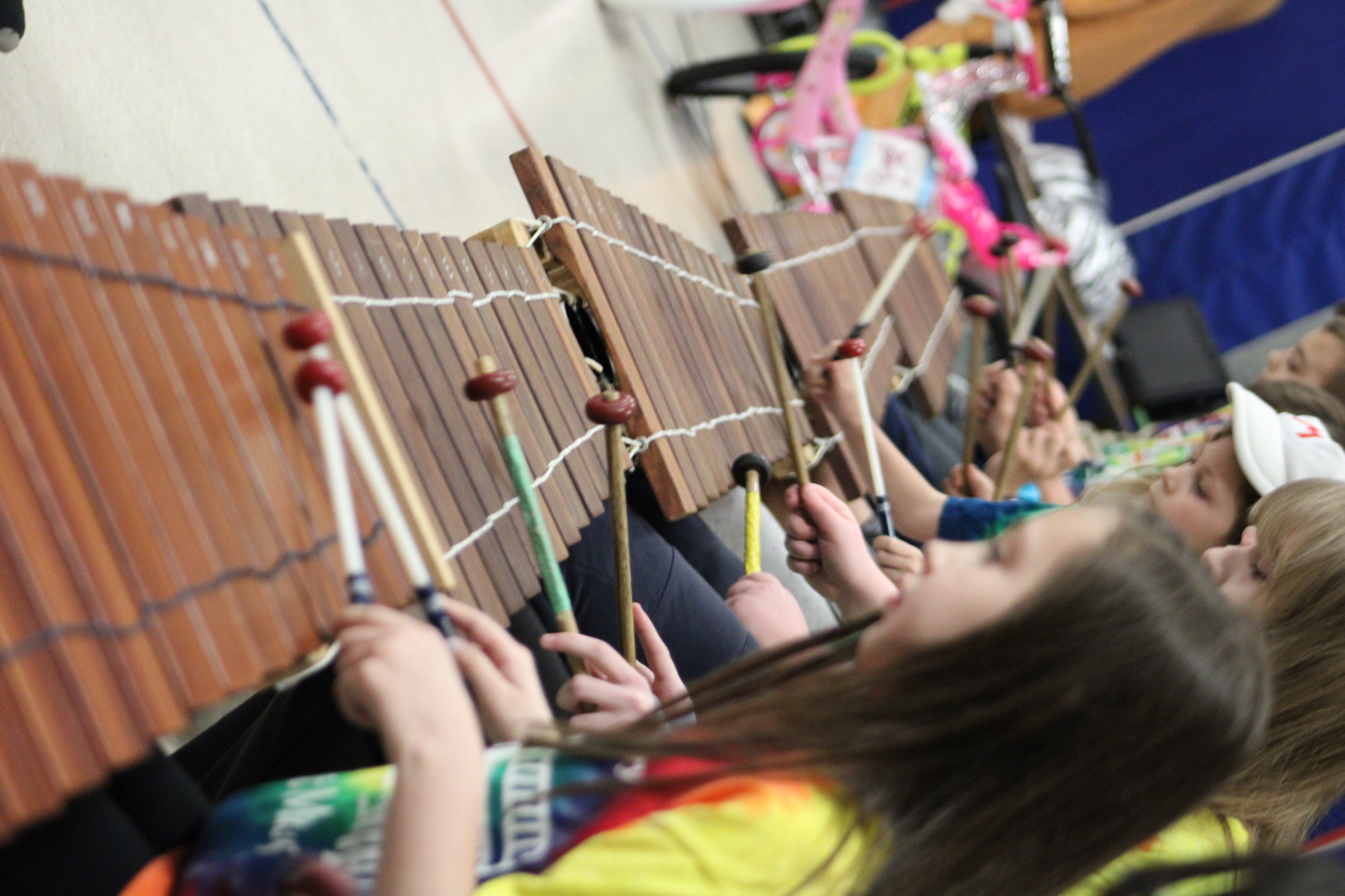 student musician