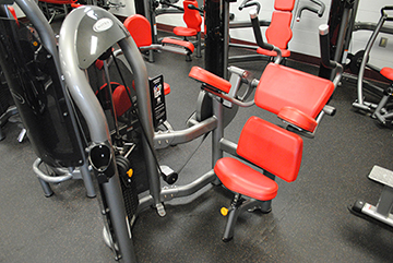 Matrix Abdominal Crunch