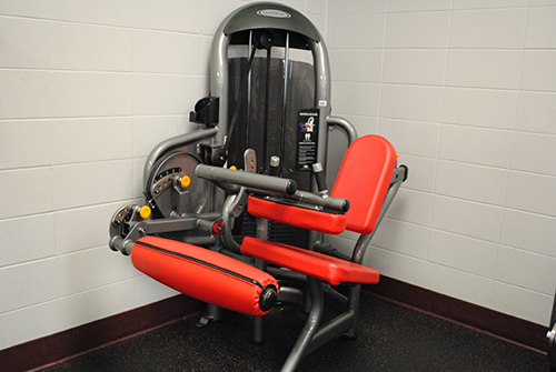 Matrix Leg Extension