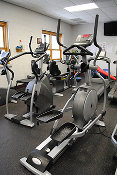 Matrix Stepper & Elliptical