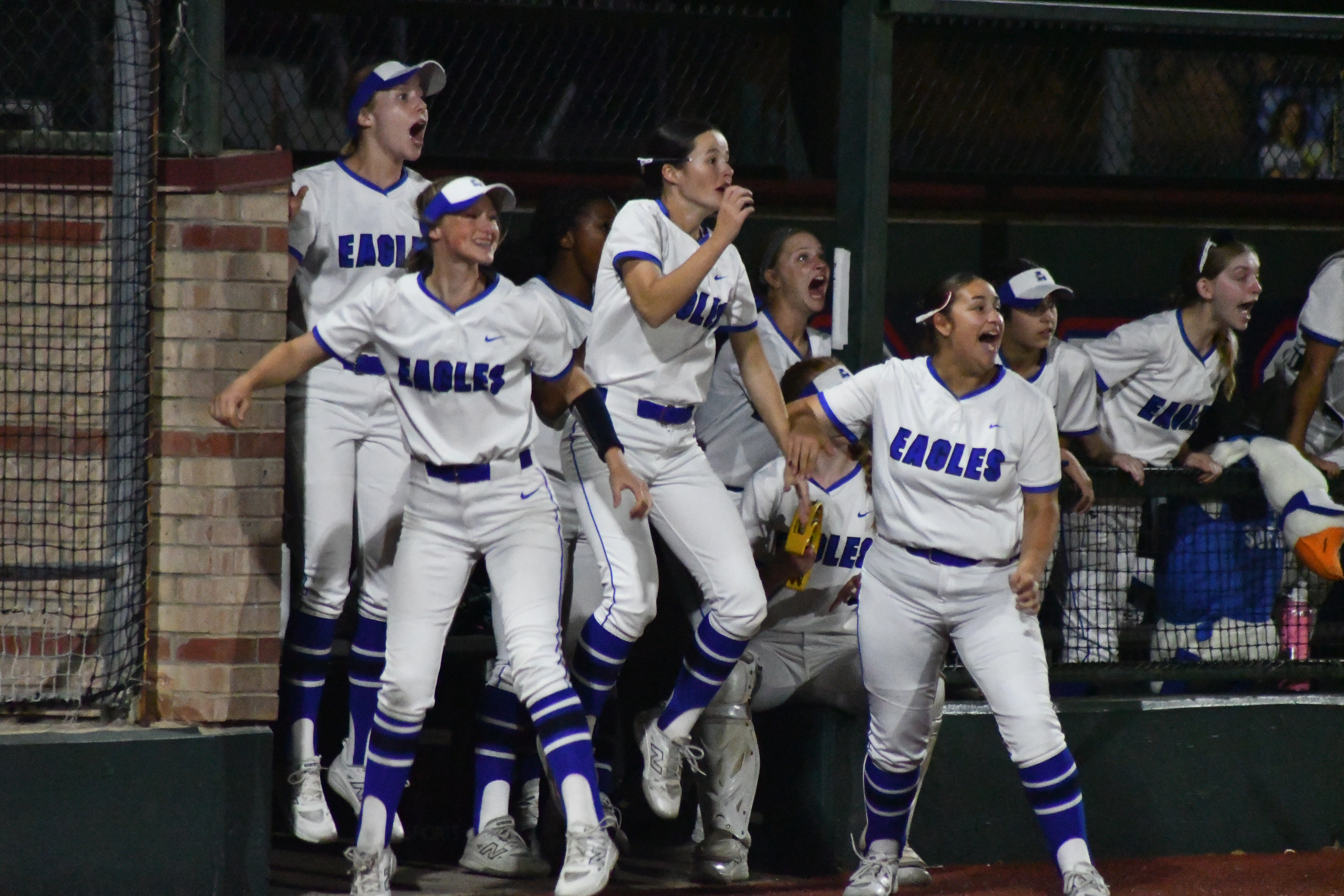 Softball Team in dug out excitedly rejoicing for a successful play run