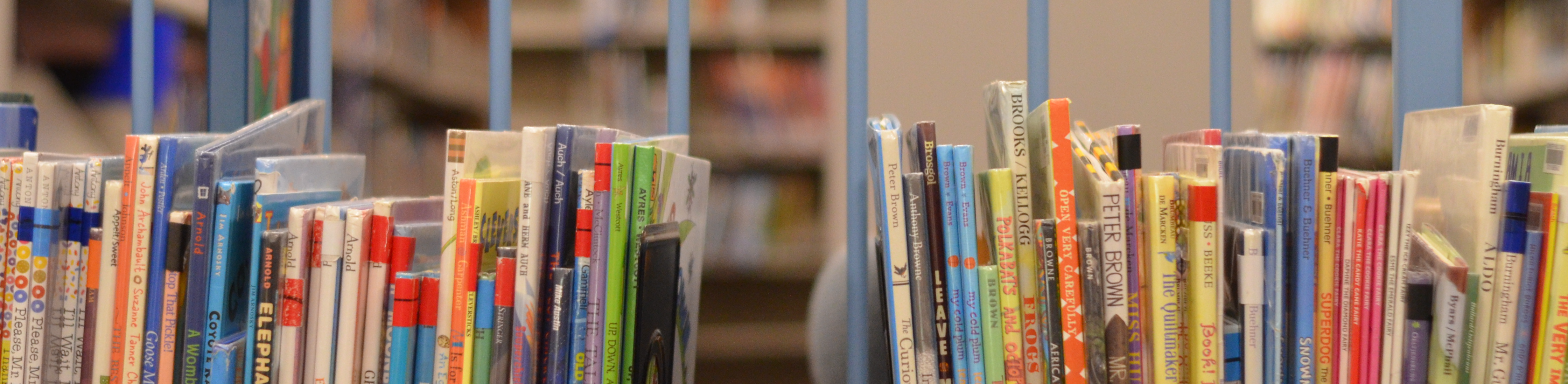 Books on a shelf in the Bamber Valley Media Center