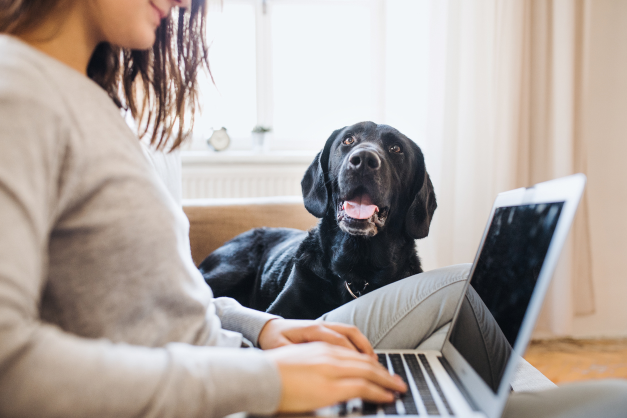 Woman with a dog working on a online course