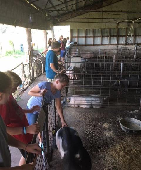students at agriculture camp