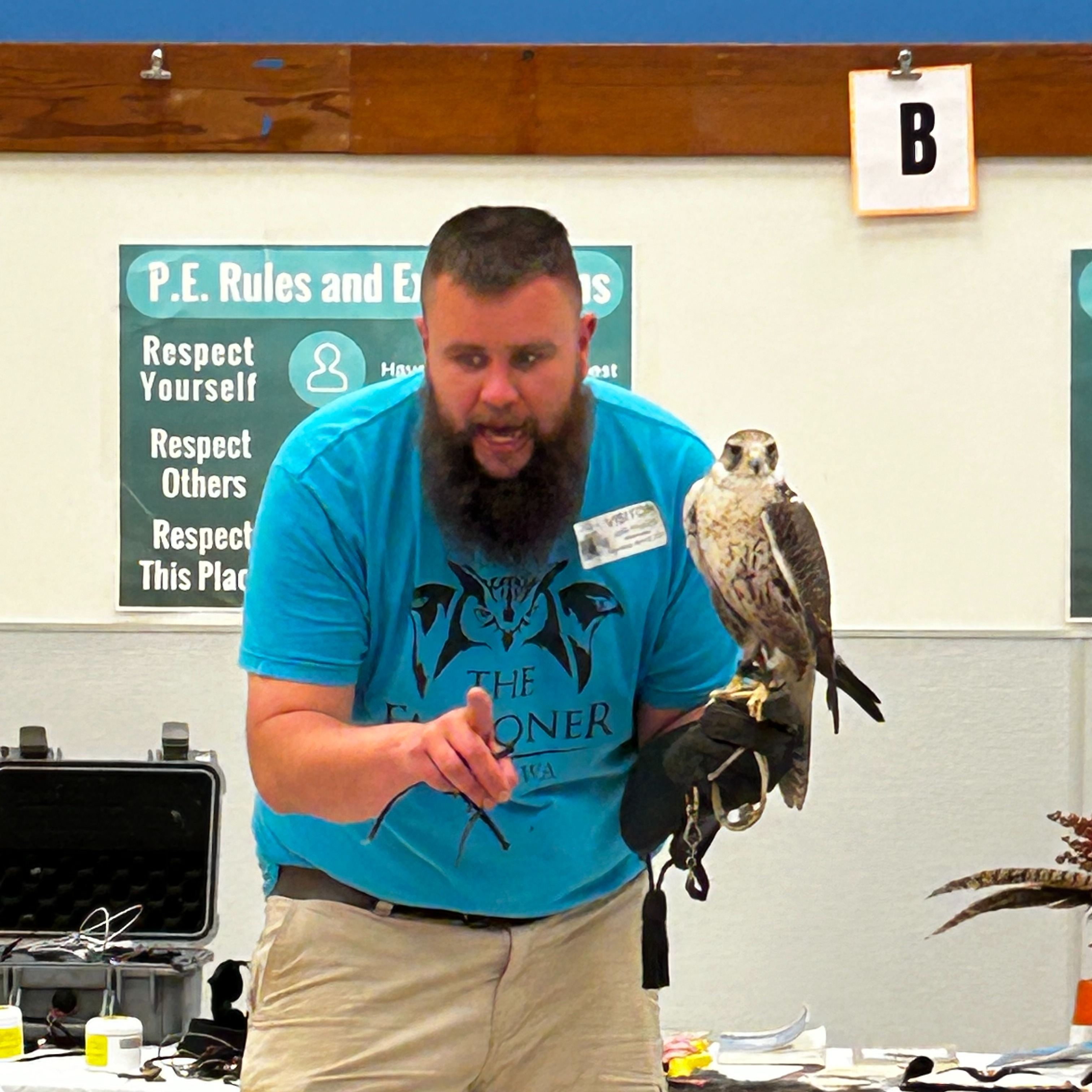 The Falconer