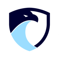 Skyhawk logo