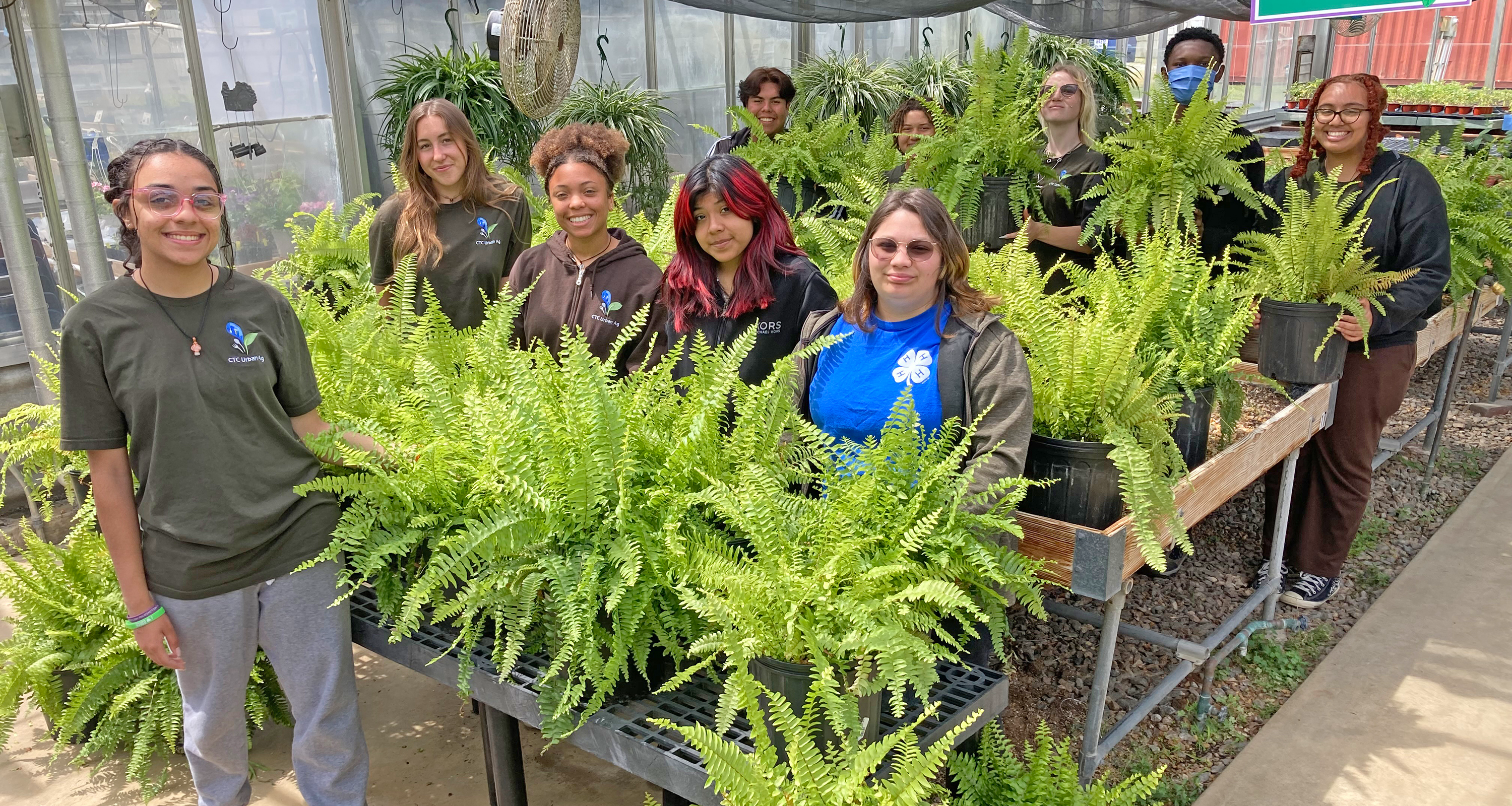 A group of students standing in front ferns in a greenhouse