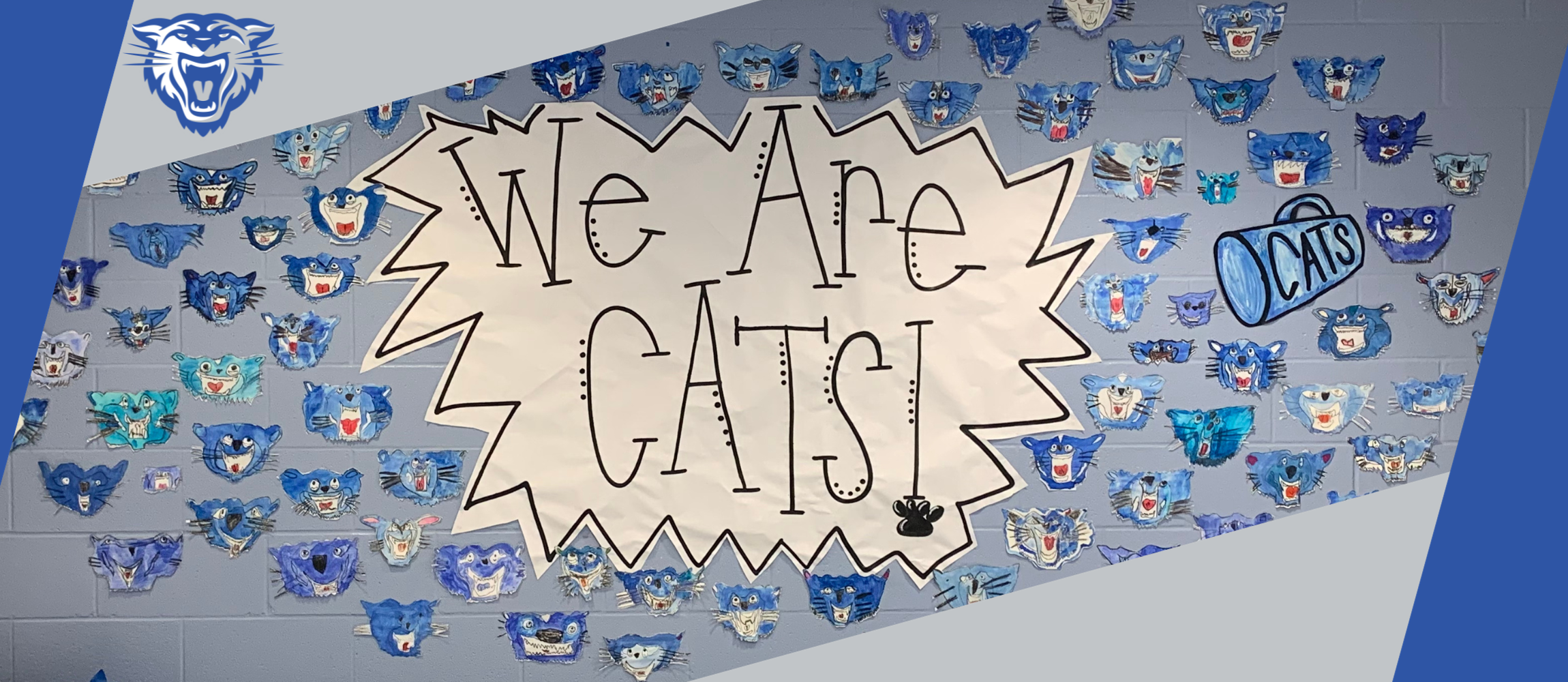 We Are Cats!