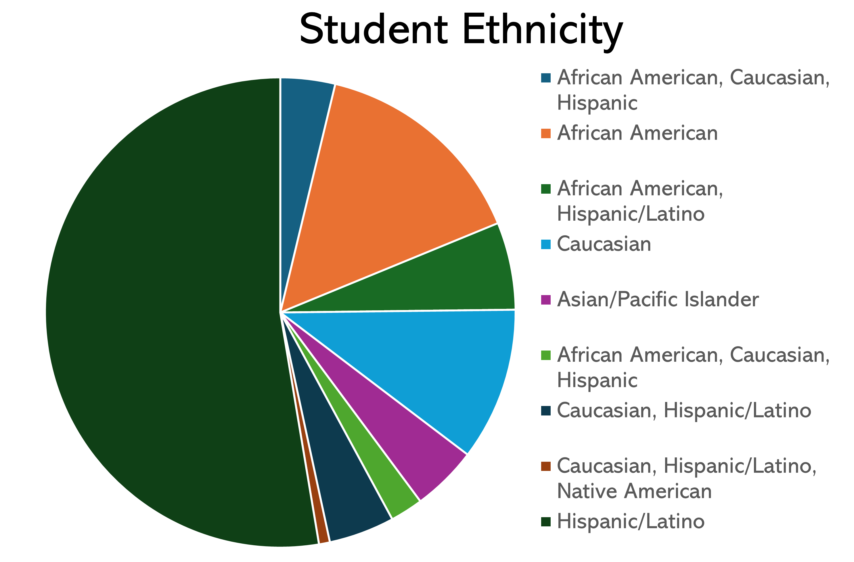 Student Ethnicity