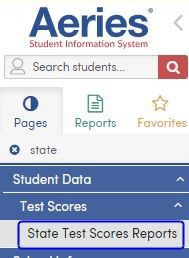 state test scores reports