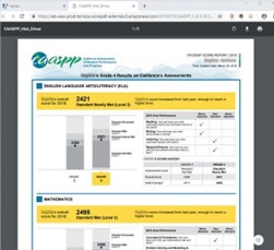 example of score report