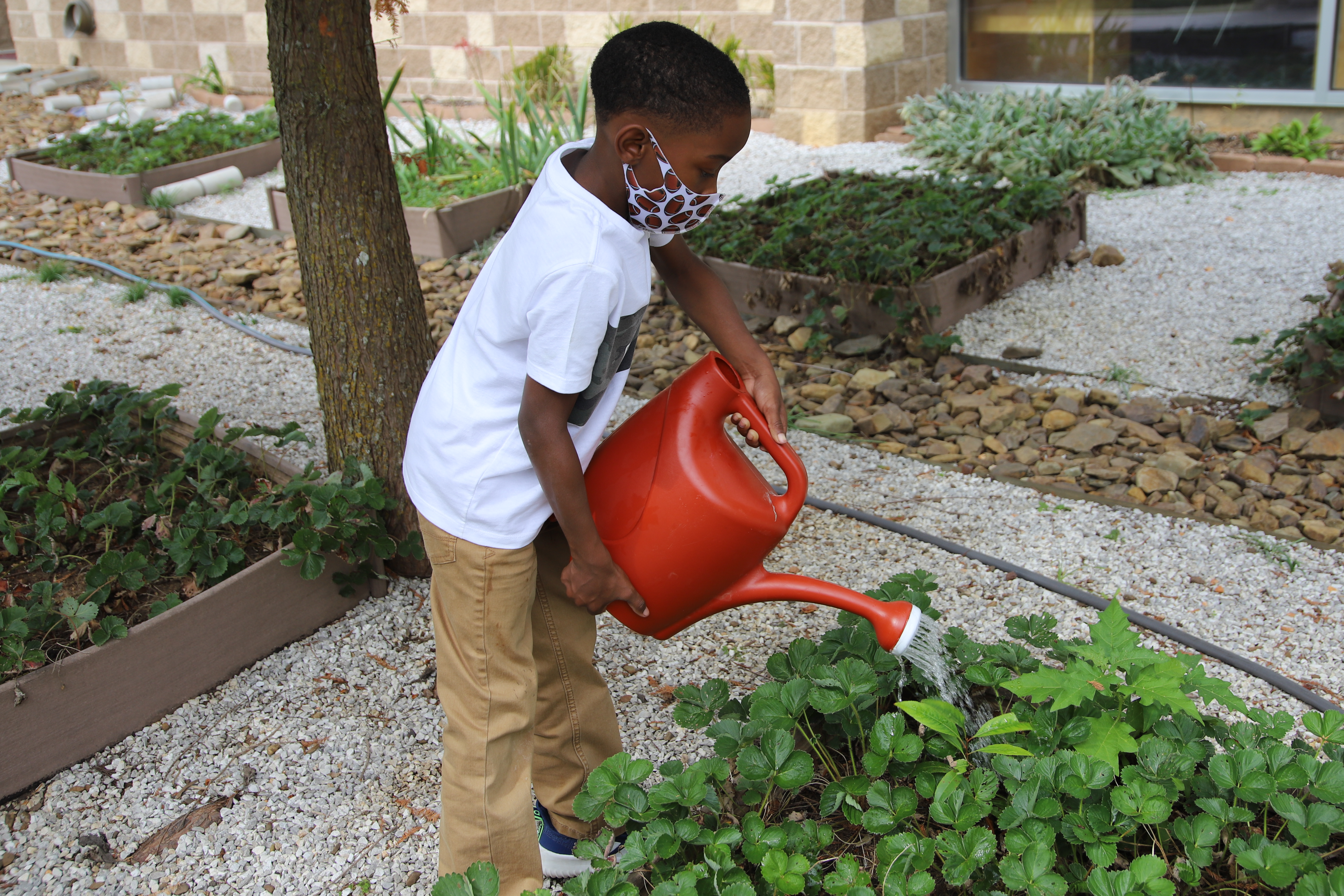 Butterfield students working in their fabulous garden watering plants.