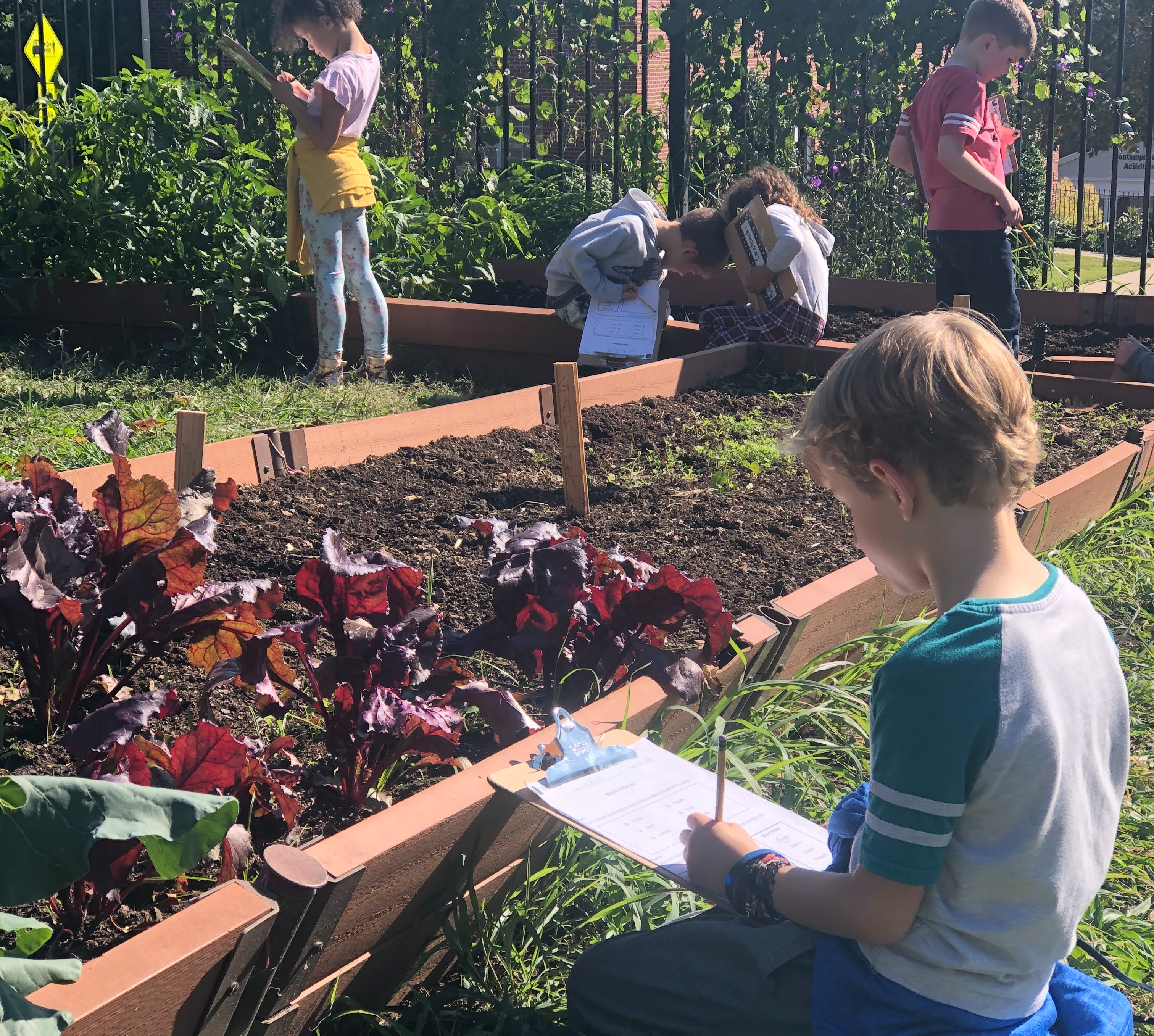 Student in school garden