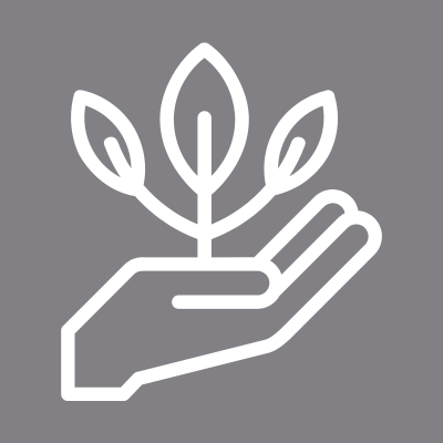 graphic of plant in hand