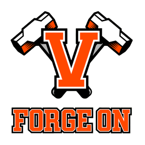 VASSAR HIGH SCHOOL logo