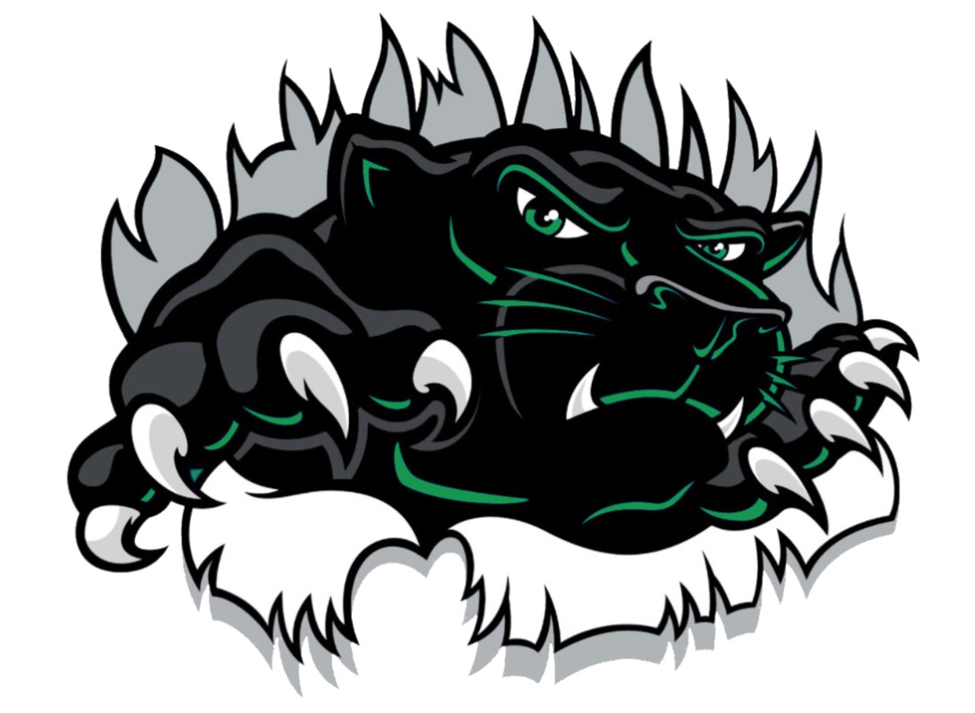 dv mascot