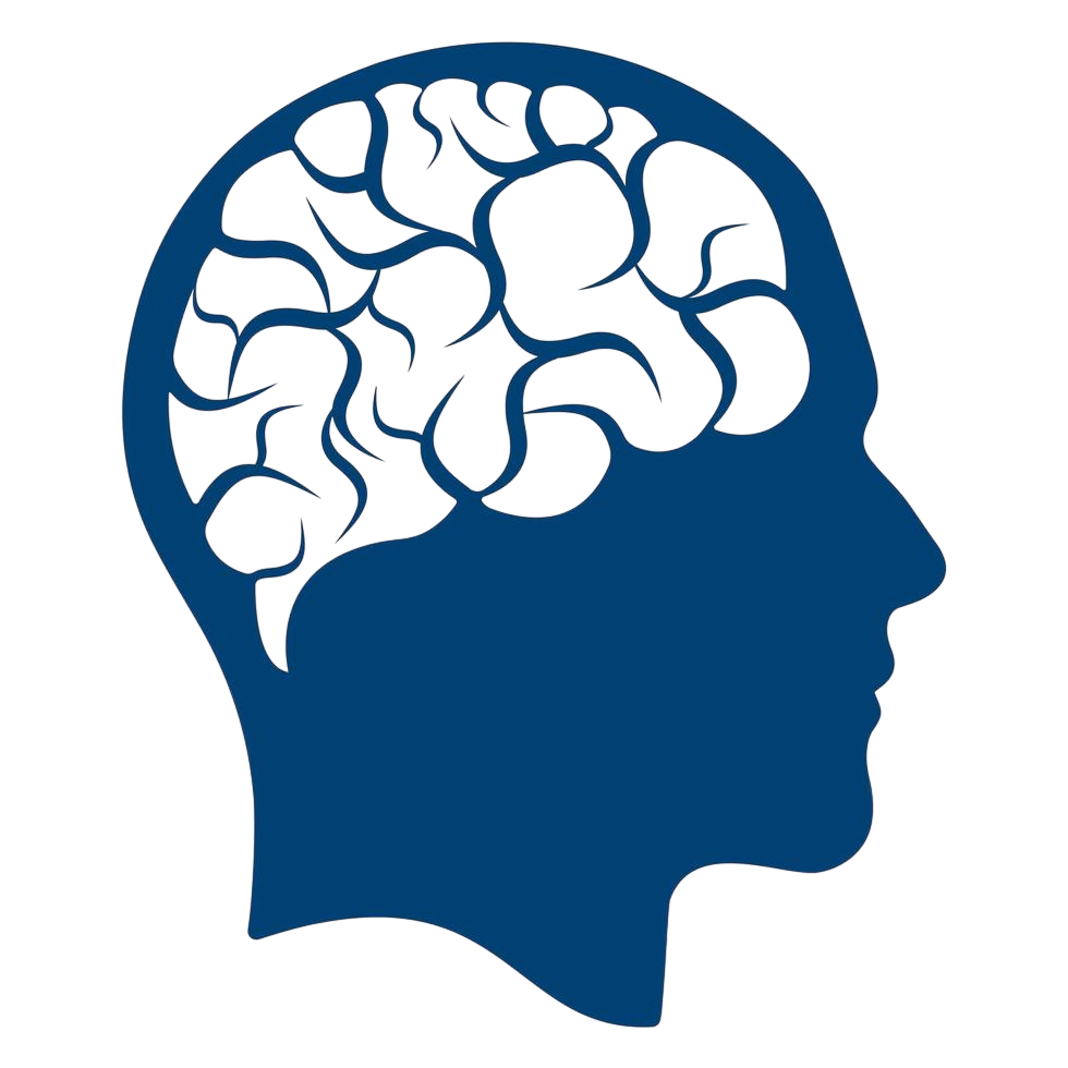 Gifted and Talented Program Information