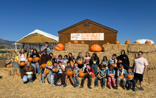 Pumpkin Patch
