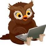 owl on a computer