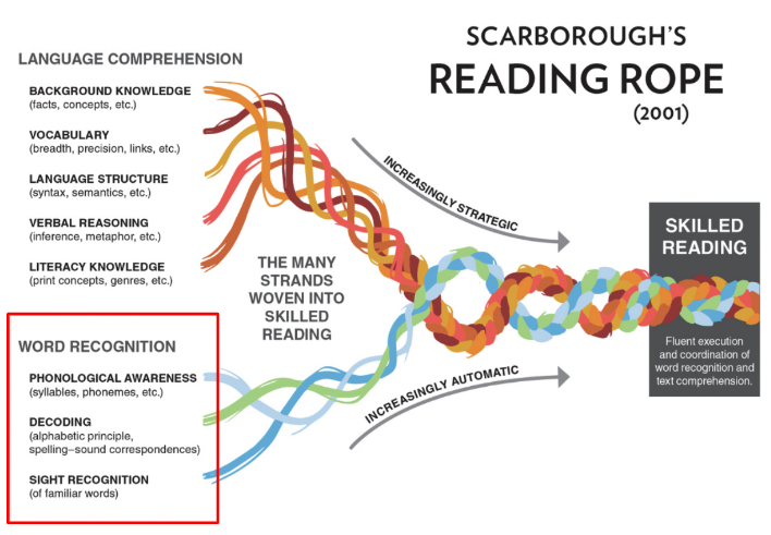 Diagram of Scarobourgh's Rope, showing the eight elements that support skilled reading