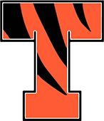 t with tiger stripes
