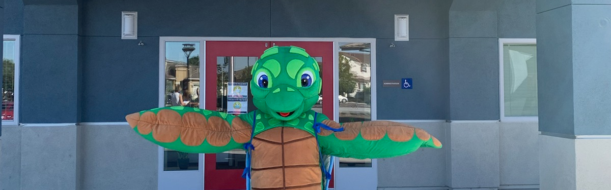 Summer Lake Elementary Sea Turtle
