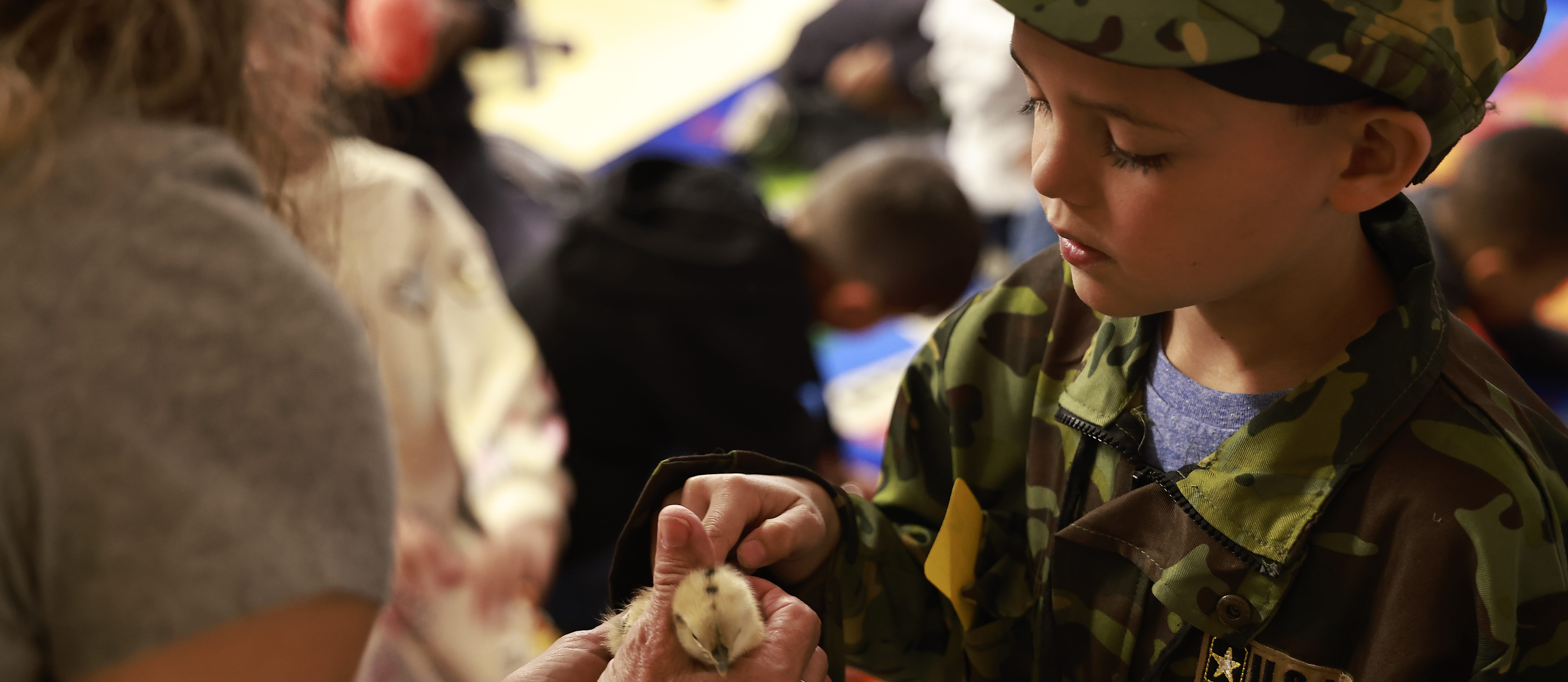 A young student touches a baby chick during career day